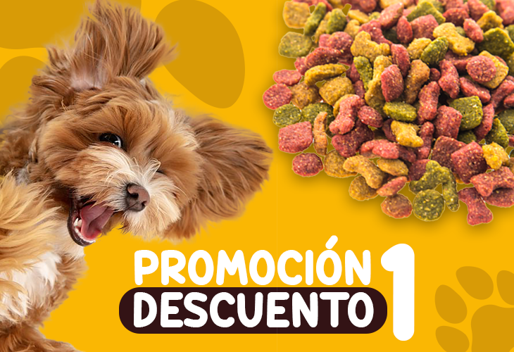 PROMOCIÓN DE VERANO 2025-I